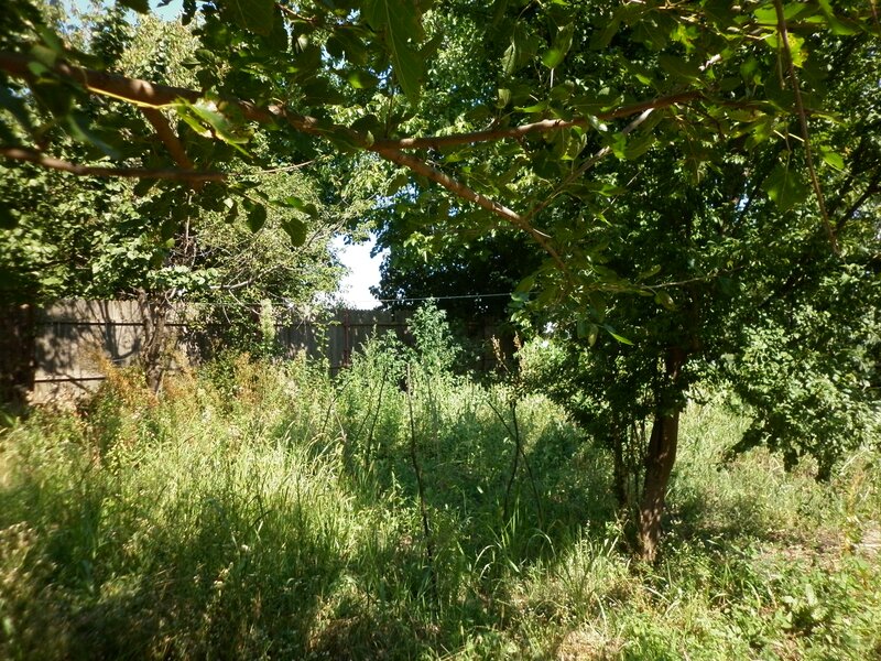 Vidra, teren 1200 mp, deschidere la asfalt 19 m